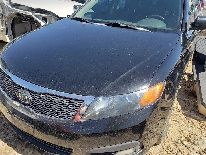 Black Kia car in an auto recycling yard.