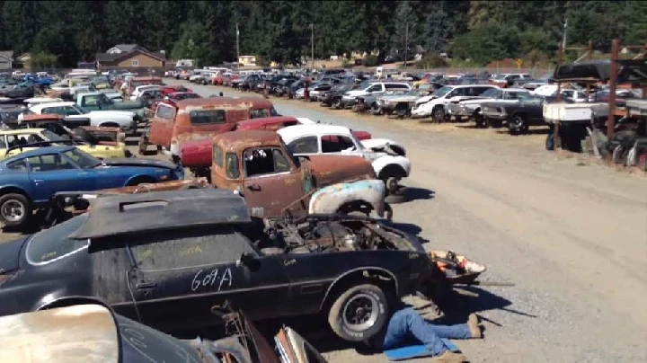 Abandoned cars in a sprawling wrecking yard.