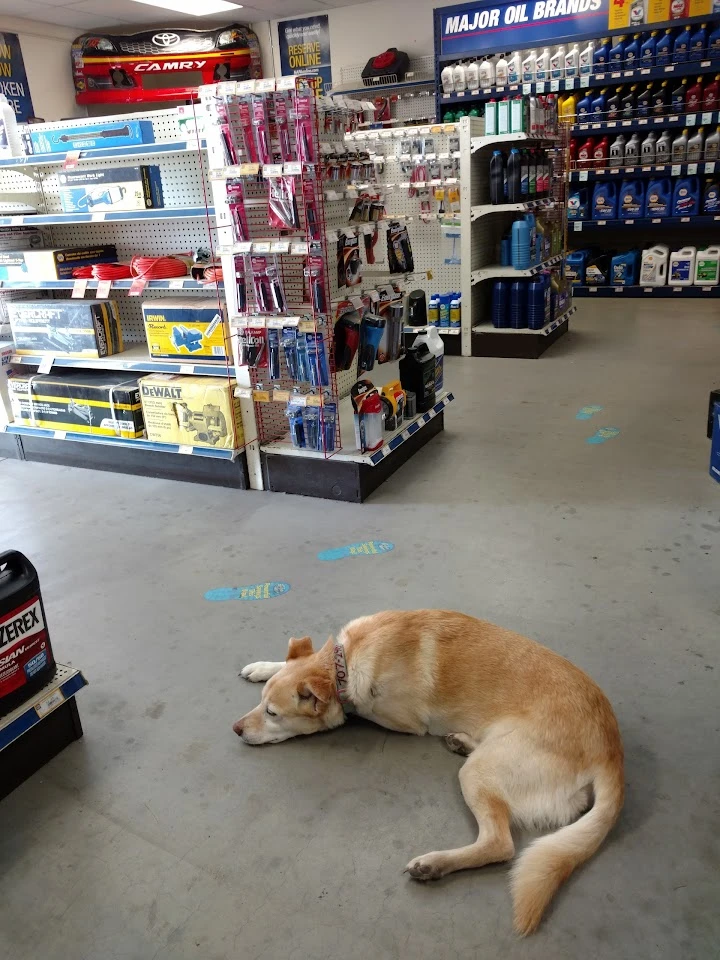 NAPA Auto Parts in Apache Junction