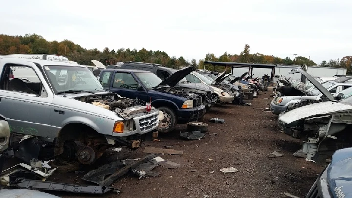 Junkyard filled with dismantled cars and parts.