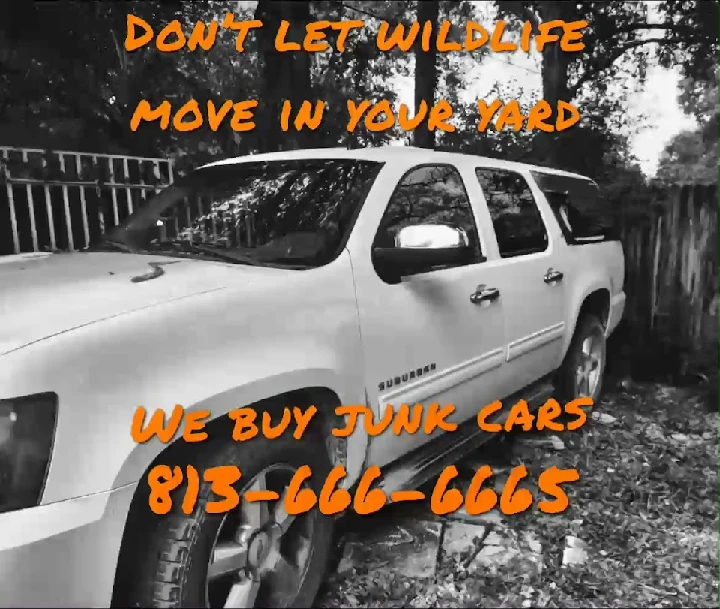 Promotional image for junk car buying service.