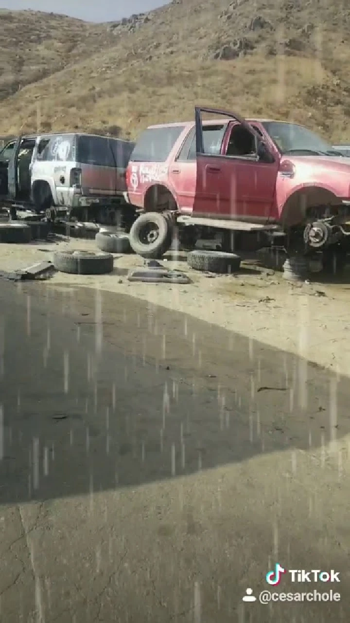 Row of abandoned cars and tires in a junkyard.