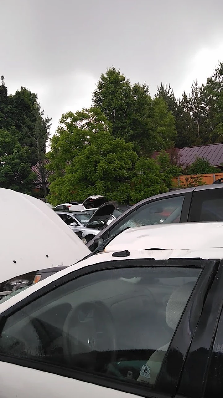 A busy junkyard with various cars and greenery.