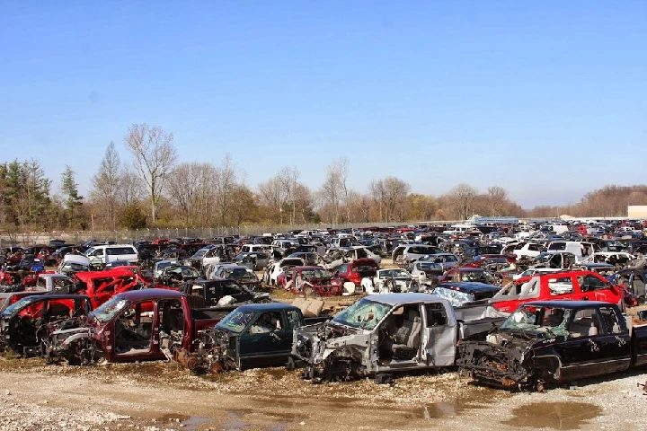 A vast junkyard filled with discarded vehicles.