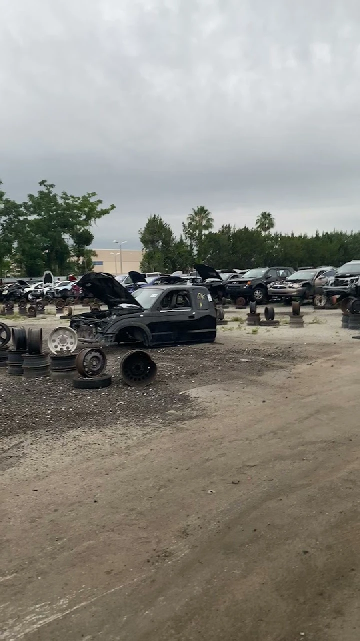 Abandoned cars in a junkyard landscape.