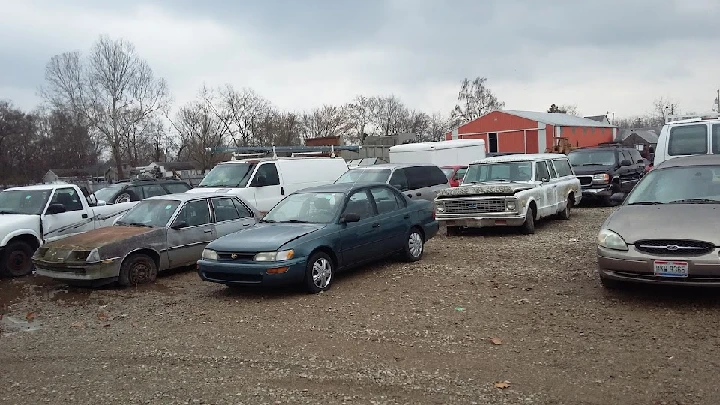 Abandoned vehicles at Westside Auto Wreckers.