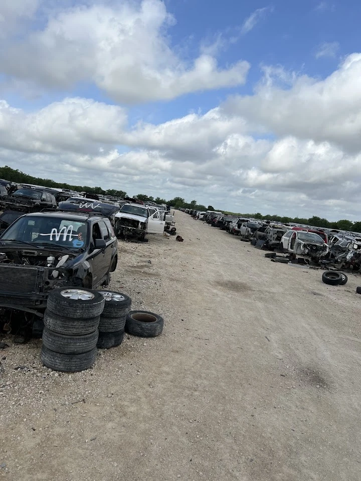 Auto recycling yard with many dismantled vehicles.