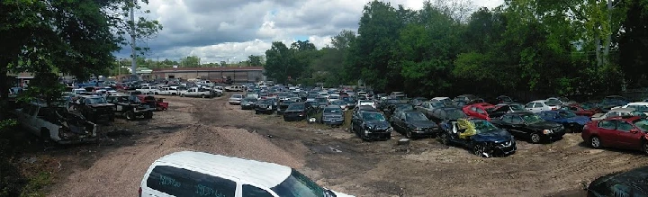 Auto salvage yard with numerous vehicles and greenery.