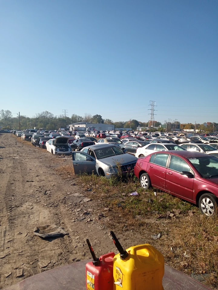 Auto salvage yard with numerous vehicles lined up.