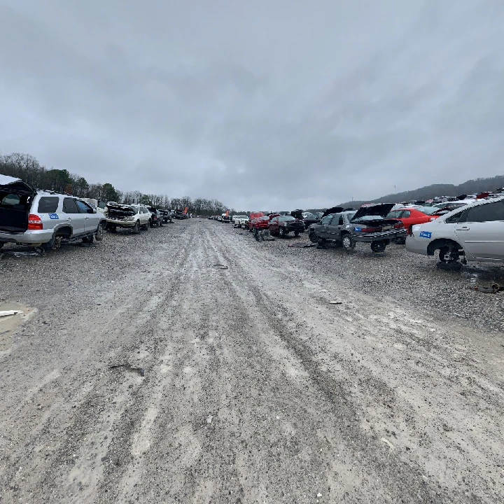 Auto salvage yard with parked cars and cloudy sky.