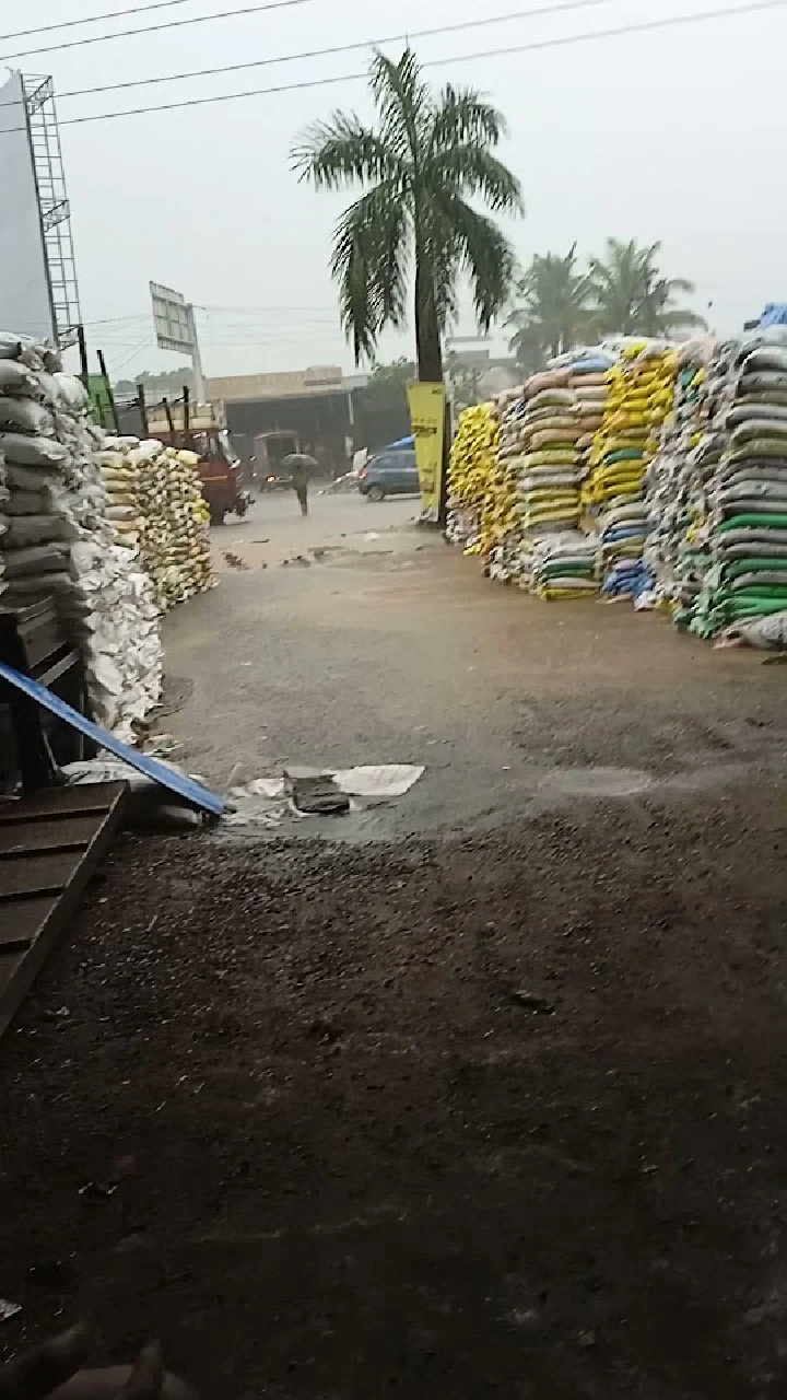 Flooded path with stacked bags and palm trees.