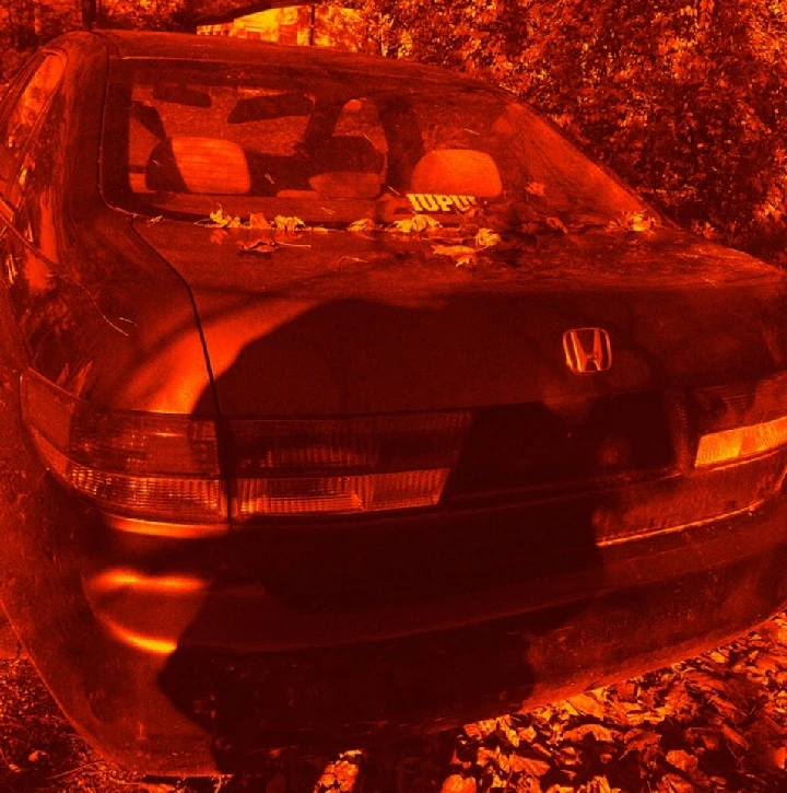 Old black Honda with leaves, tinted red image.