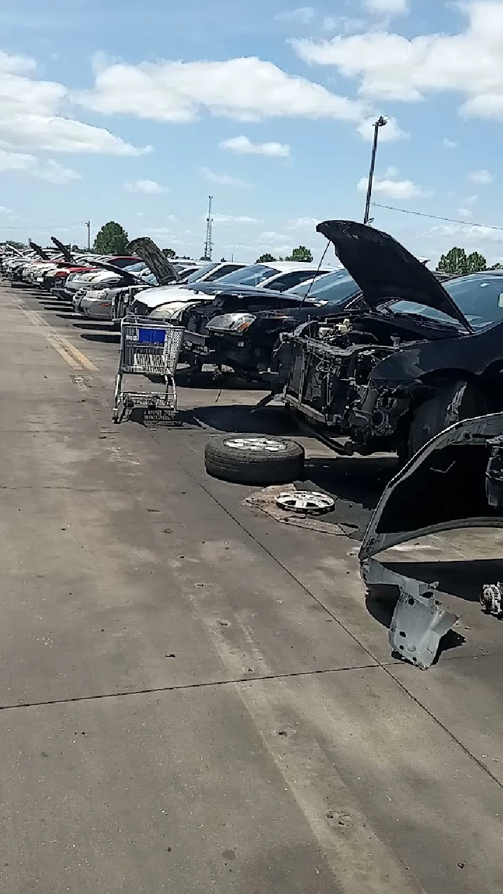 Row of cars with open hoods in salvage yard.