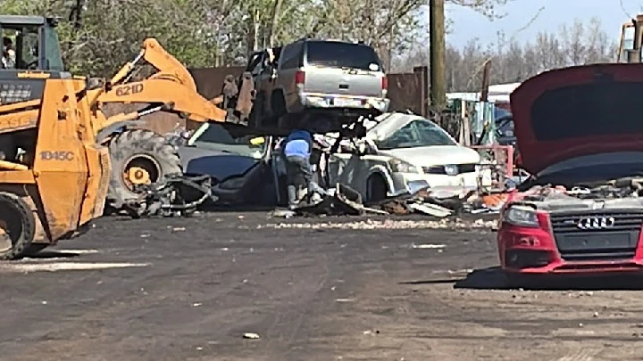 Tow trucks and wrecked cars in a salvage yard.