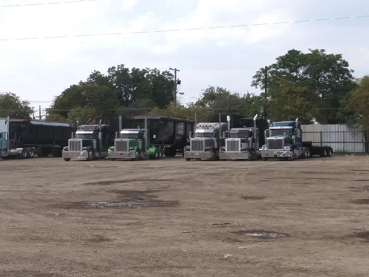 Trucks lined up at Texas Auto Salvage yard.