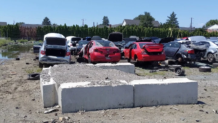 A junkyard filled with abandoned cars and debris.