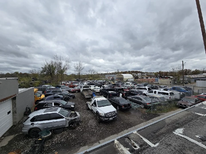 A wide view of a busy junk car lot.