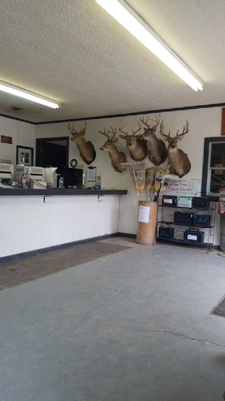 Reception area with mounted deer heads on wall.