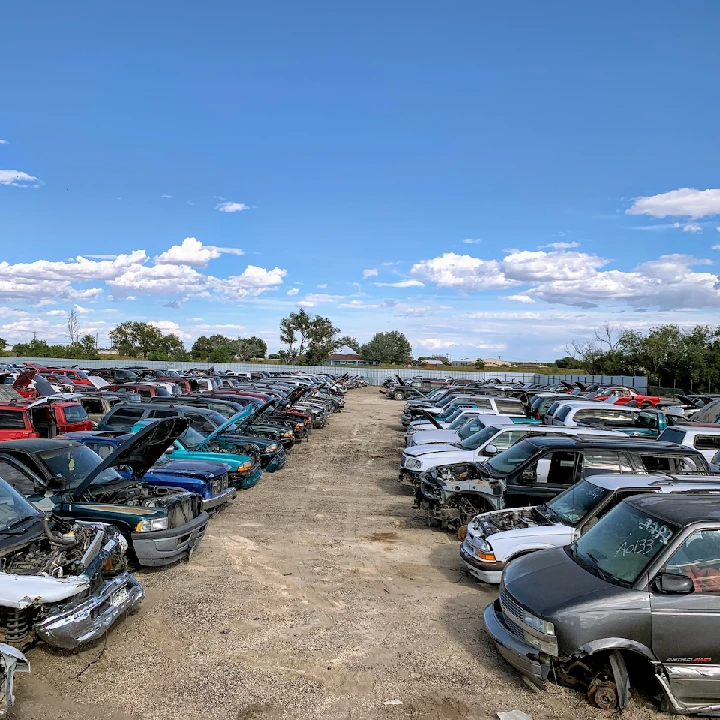 Rows of junked cars at Toms Auto Salvage yard.