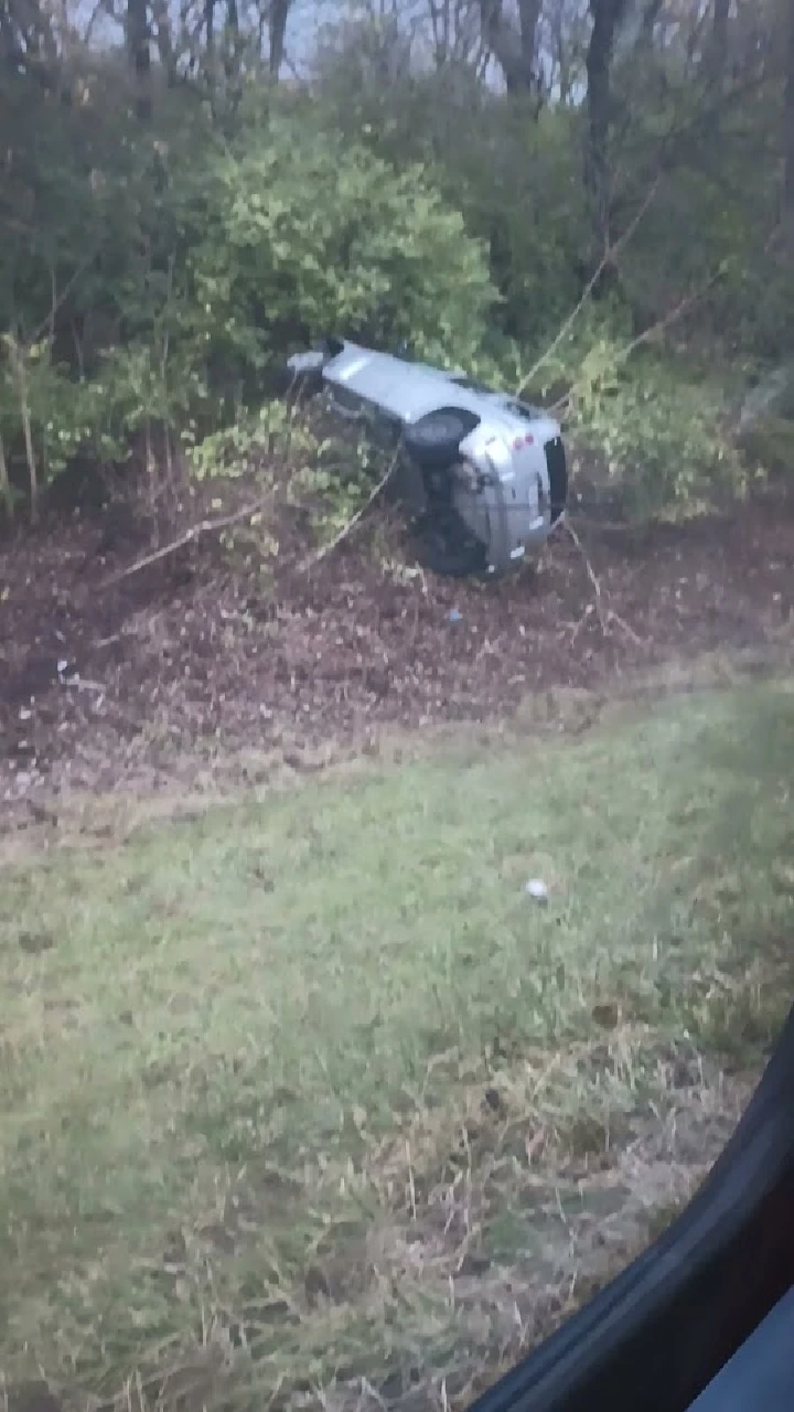 Upside-down car in bushes by the roadside.