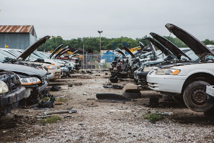 A row of vehicles in a salvage yard.