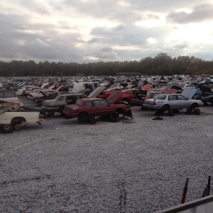 A vast junkyard filled with abandoned cars.