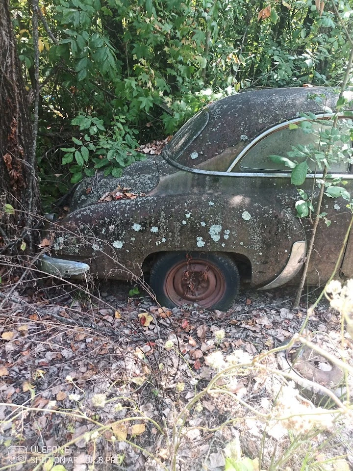 Abandoned car overgrown with vegetation.