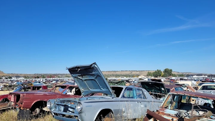 Abandoned cars at A-1 Johnson Auto Wrecking yard.