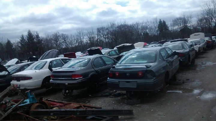 Abandoned cars in a junkyard.