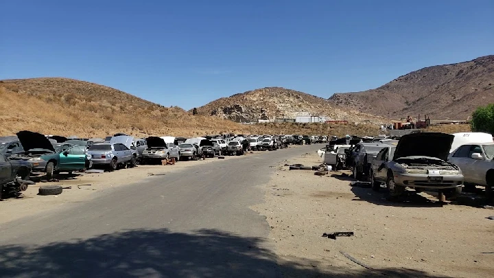 Abandoned cars lined up in a junkyard.