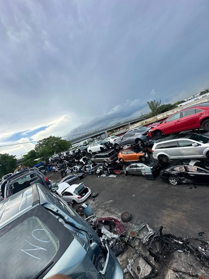 Auto parts junkyard filled with various cars.