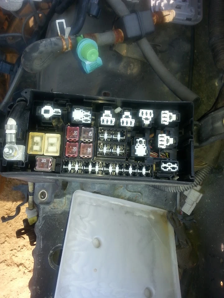 Car fuse box with various fuses and connectors.