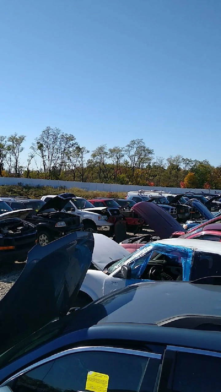 Junkyard with numerous cars for parts. Clear blue sky.