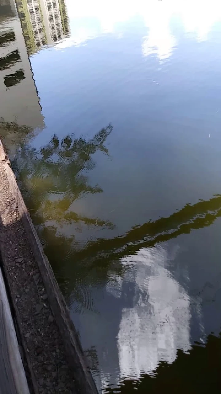 Reflection on calm water with nearby buildings.