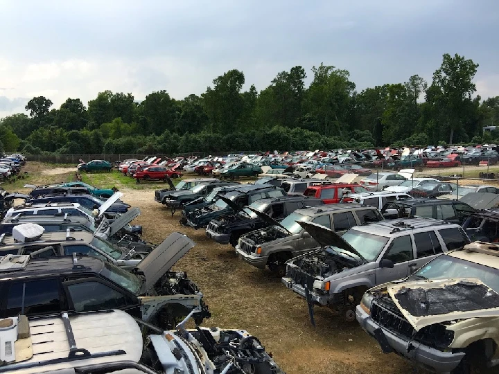 Row of salvage cars in a junkyard.