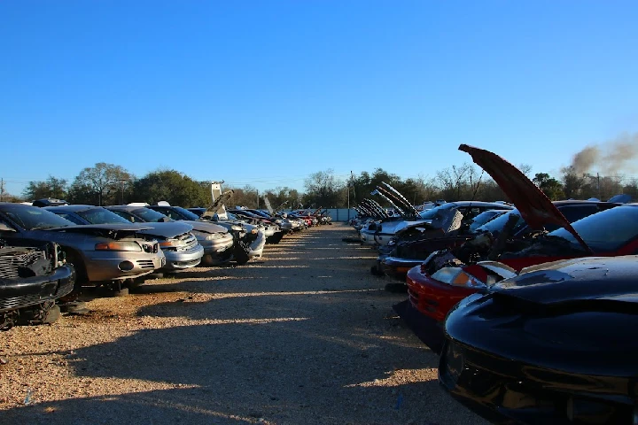 A row of junked cars at BYOT Auto Parts yard.