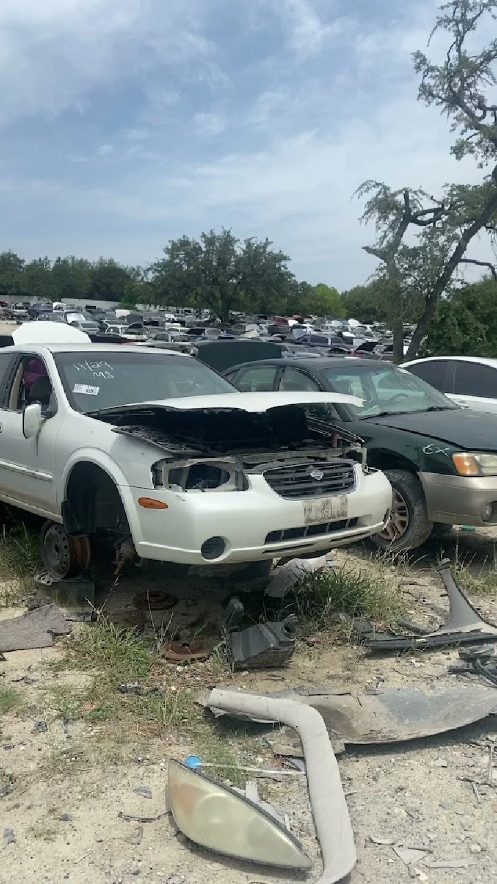 Abandoned car parts in a junkyard setting.