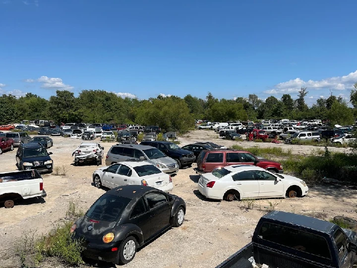 Abandoned cars at a junkyard under blue skies.