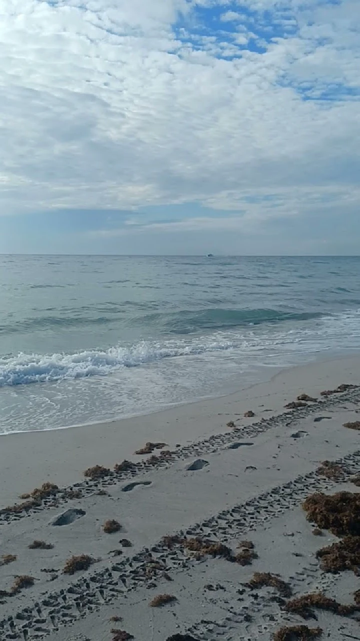 Calm beach scene with gentle waves and clouds.