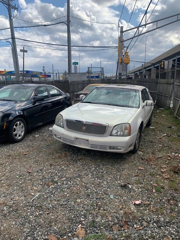 Parked vehicles at Ray's Auto Wreckers lot.