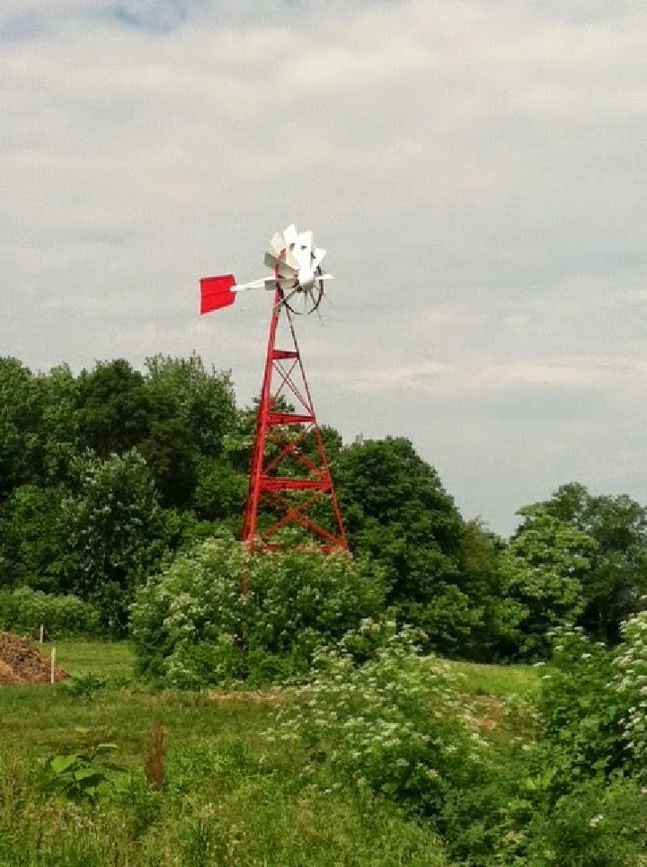 Twin City Wood Recycling in Bloomington