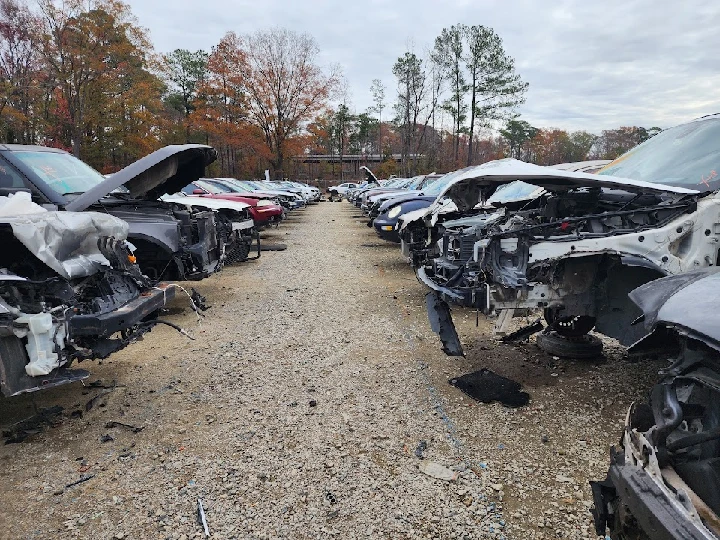 Row of damaged cars in a salvage yard.