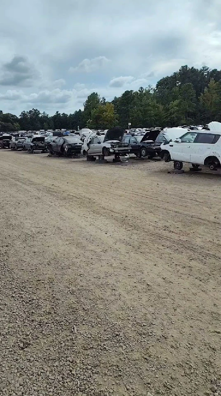 Row of vehicles in an auto salvage yard.