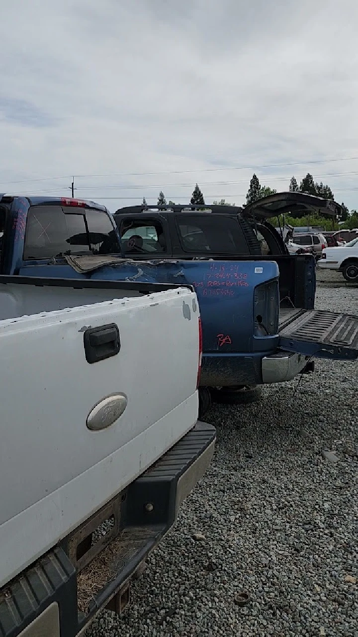 Rows of abandoned trucks in a salvage yard.