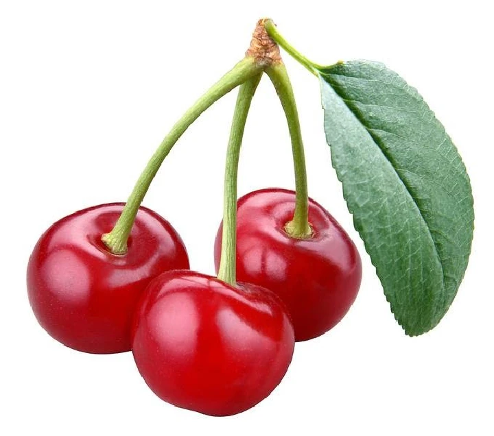 Three ripe red cherries on a branch with leaves.