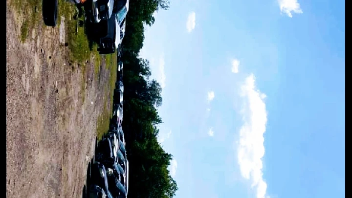 Vehicles lined up in a salvage yard under blue sky.