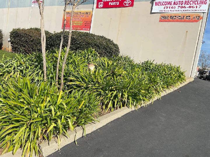 Welcome Auto Recycling store front with greenery.