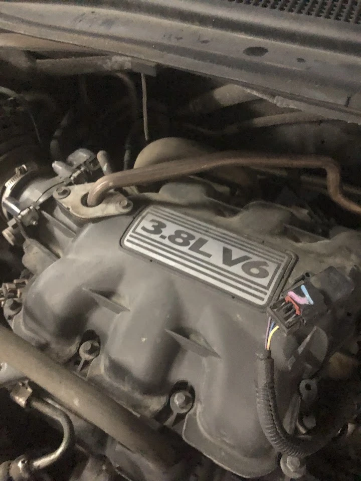 3.8L V6 engine under the hood of a vehicle.