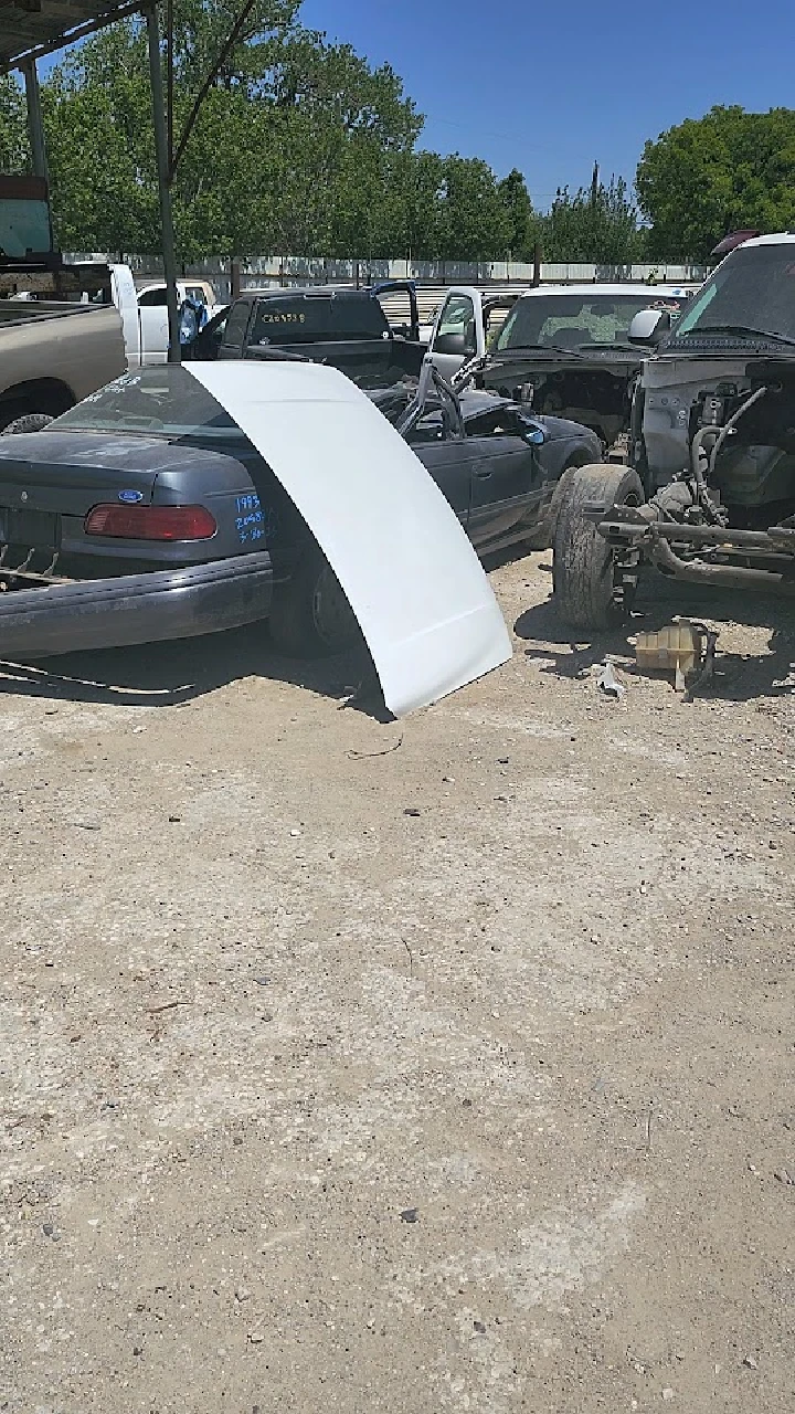 Abandoned cars and parts in a junkyard setting.