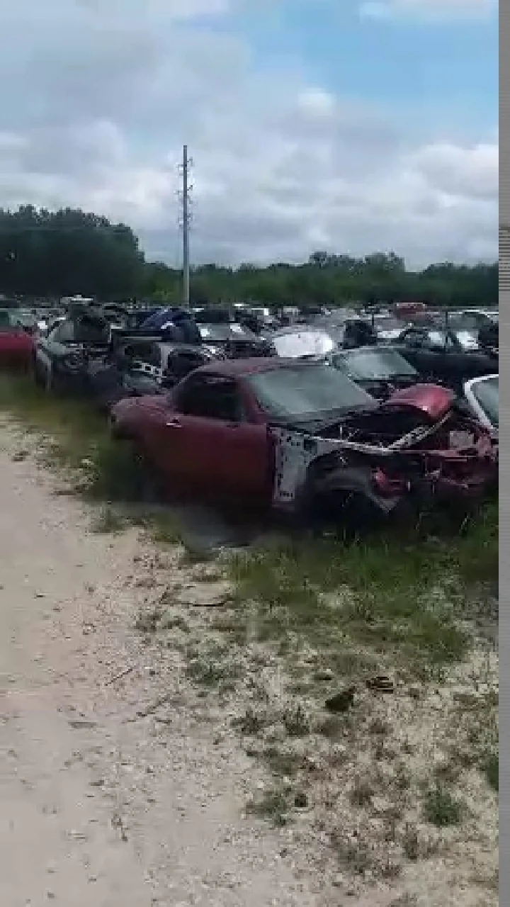 Abandoned cars in a salvage yard.